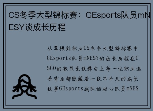 CS冬季大型锦标赛：GEsports队员mNESY谈成长历程