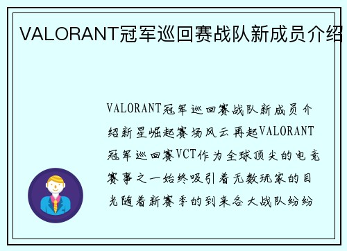 VALORANT冠军巡回赛战队新成员介绍
