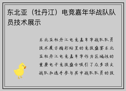 东北亚（牡丹江）电竞嘉年华战队队员技术展示